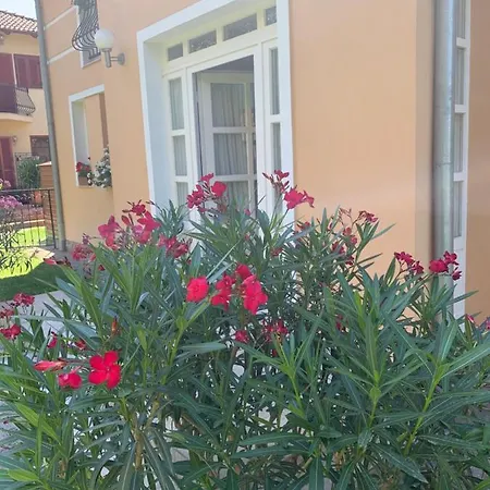 Horváth Apartamento